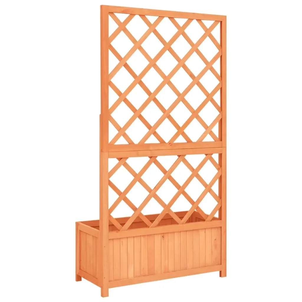 Garden Trellis Planter 70x30x135 cm Solid Firwood Price