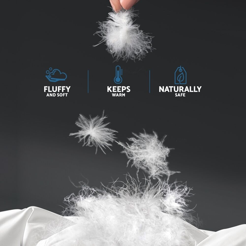 Giselle Bedding 700GSM Duck Down Feather Quilt King Price