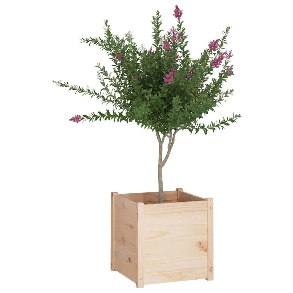 Garden Planter 50x50x50 cm Solid Pinewood Price