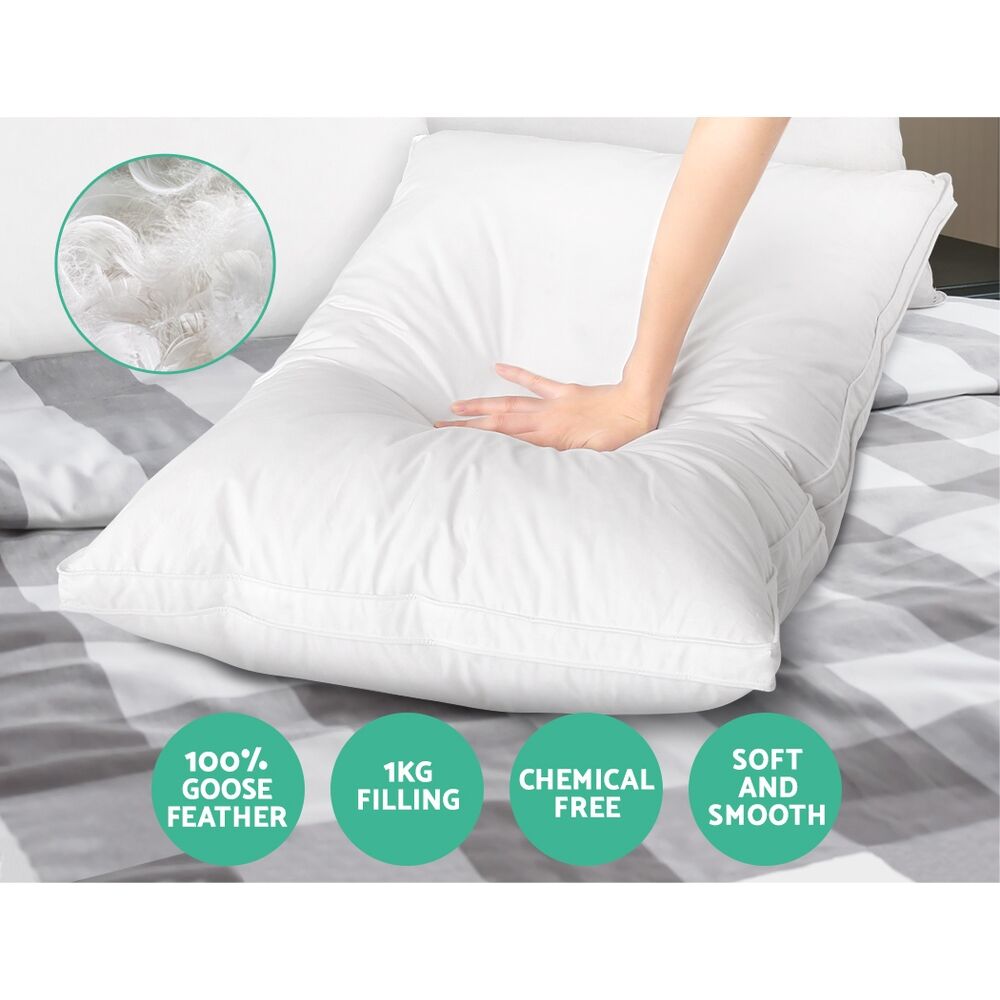 Giselle Bedding Goose Feather Down Pillow Luxury Twin Pack Price