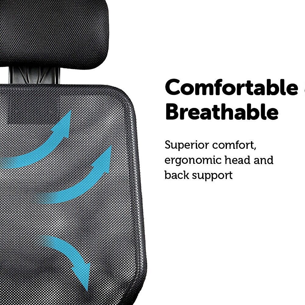Ergonomic Mesh Office Chair Price