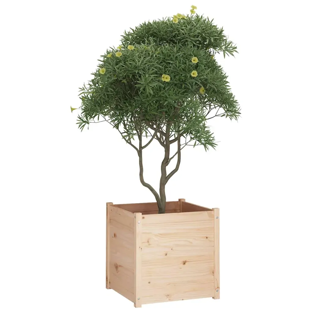 Garden Planter 60x60x60 cm Solid Pinewood Price
