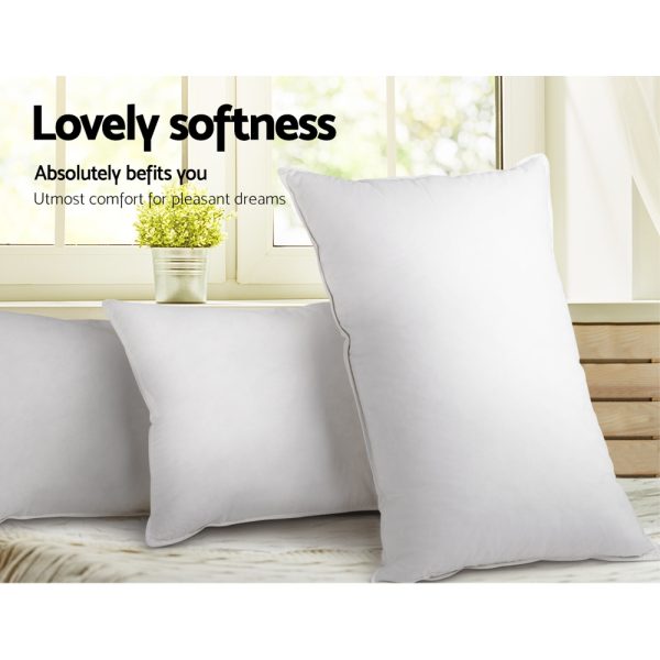 Set of 2 Goose Feather and Down Pillow – White