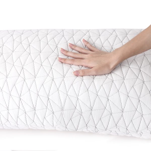 Set of 2 Rayon King Memory Foam Pillow