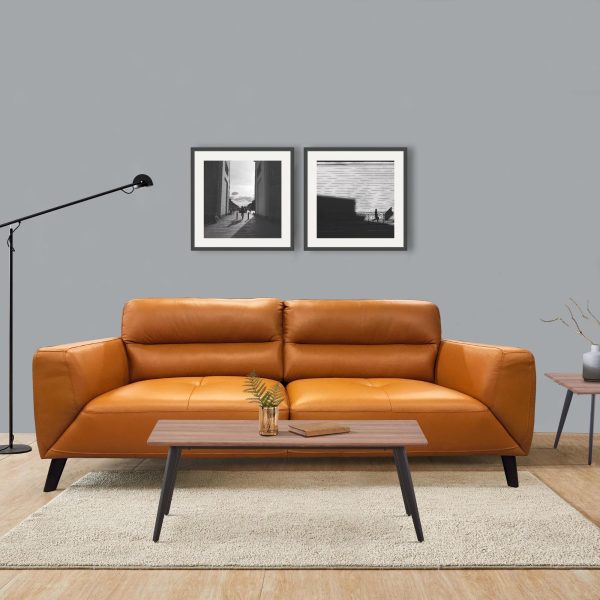 Norwell Genuine Leather Sofa 2 Seater Upholstered Lounge Couch – Tangerine