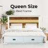 Alexander Bed Frame Queen Size Mattress Base With Storage Drawers – Multi Color