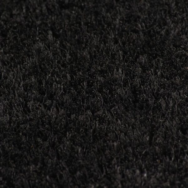 Doormat Coir 17 mm 100×100 cm Black