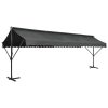 Free Standing Awning 600×300 cm Anthracite