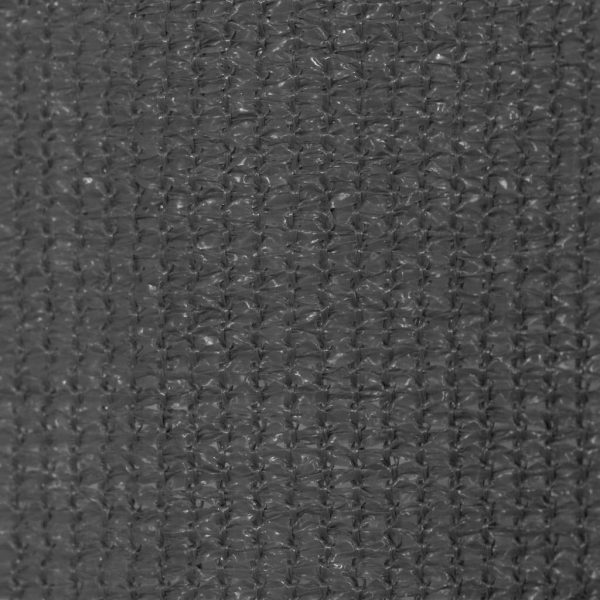 Outdoor Roller Blind 240×140 cm Anthracite