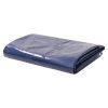 Tarpaulin 650 g/m² 3×4 m Blue