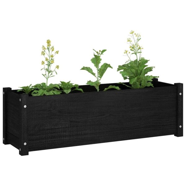 Garden Planter Black 100x31x31 cm Solid Pinewood