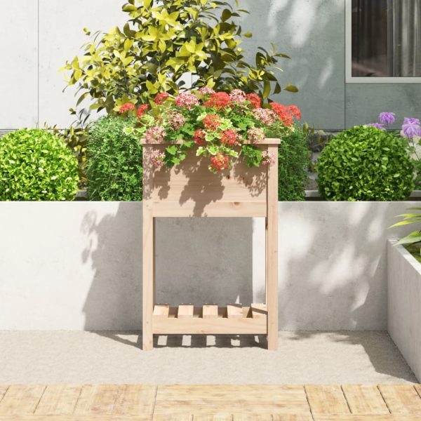 Planter with Shelf 54×34.5×81 cm Solid Wood Pine