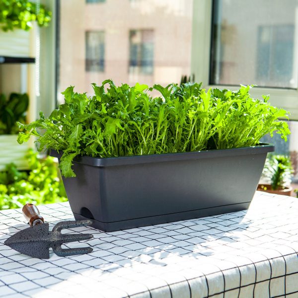 49.5cm Black Rectangular Planter Vegetable Herb Flower Outdoor Plastic Box with Holder Balcony Garden Decor Set of 2