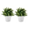 19.5 cm White Plastic Plant Pot Self Watering Planter Flower Bonsai Indoor Outdoor Garden Decor Set of 2