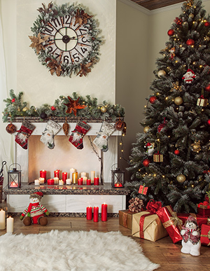 Seasonal & Holiday Decorations