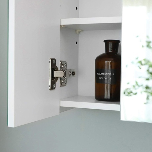 Bathroom Wall Cabinet with Mirror and Adjustable Shelf White BBK22WTV1