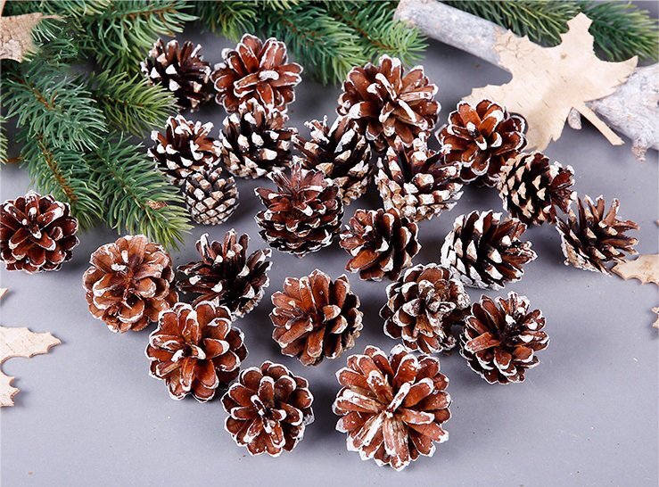 18 Christmas Natural Pine Cones Xmas Tree Hanging Home Decoration Ornament Gifts, 18x Natural w Snow Covered Pinecones