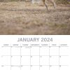 Golden Retrievers – 2024 Square Wall Calendar Pets Dog 16 Months Premium Planner