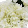 Premium Faux Hydrangea With Glass Vase (Artificial Flowering Hydrangea) 23cm – Green and White
