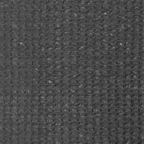 Outdoor Roller Blind 60×230 cm Anthracite