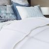 Royal Comfort 800GSM Silk Quilt – QUEEN