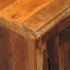 Reclaimed Cabinet Solid Wood with 2 Doors Vintage