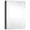 LED Bathroom Mirror Cabinet 50x13x70 cm