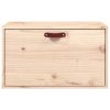Tottenham Wall Cabinet 60x30x35 cm Solid Wood Pine