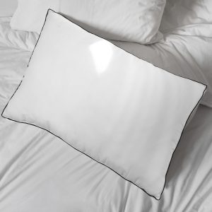 Casa Decor Silk Blend Pillow – 2