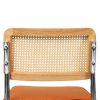2x Dining Chairs Cesca Chair Replica Cantilever Velvet Rattan Midcentury