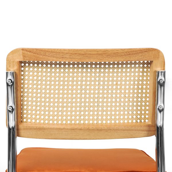 2x Dining Chairs Cesca Chair Replica Cantilever Velvet Rattan Midcentury