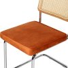 2x Dining Chairs Cesca Chair Replica Cantilever Velvet Rattan Midcentury
