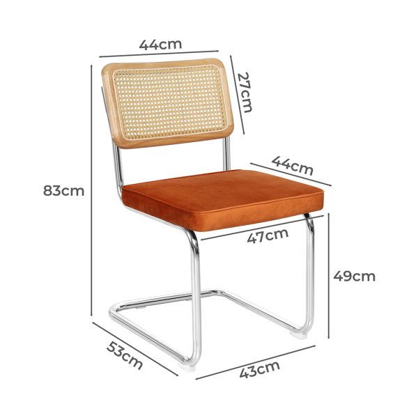 2x Dining Chairs Cesca Chair Replica Cantilever Velvet Rattan Midcentury