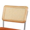 2x Dining Chairs Cesca Chair Replica Cantilever Velvet Rattan Midcentury