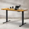 Motorised Standing Desk Adjustable Electric Sit Stand Dual Motor 120CM