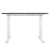 Motorised Standing Desk Adjustable Electric Sit Stand Dual Motor 120CM