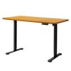 Motorised Standing Desk Height Adjustable Electric Sit Stand Table 120CM