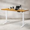 Motorised Standing Desk Height Adjustable Electric Sit Stand Table 120CM