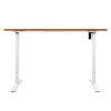 Motorised Standing Desk Height Adjustable Electric Sit Stand Table 120CM