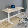 Standing Desk Height Adjustable Sit White Stand Motorised Dual Motors Frame