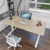 Standing Desk Height Adjustable Sit White Stand Motorised Dual Motors Frame