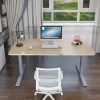 Standing Desk Height Adjustable Sit Grey Stand Motorised Single Motor Frame