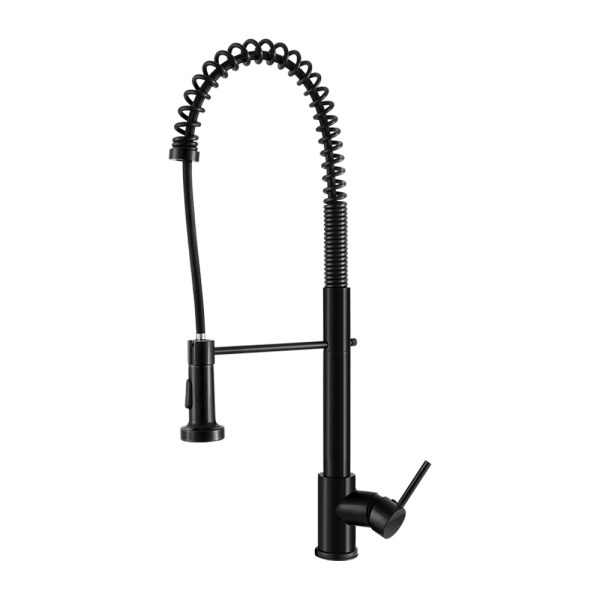 Pull Out Kitchen Tap Mixer Basin Taps Faucet Vanity Sink Swivel Brass WEL In