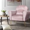 Armchair Lounge Chair Accent Armchairs Chairs Sofa Cushion Velvet