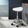 Saddle Salon Stool PU Swivel Barber Hair Dress Chair Hydraulic Lift