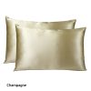 Mulberry Silk Pillow Case Twin Pack – Size: 51X76Cm