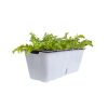 Rectangular Flowerpot Vegetable Herb Flower Outdoor Plastic Box Garden Decor