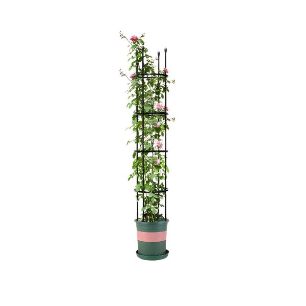 4-Bar Plant Frame Stand Trellis Vegetable Flower Herbs Outdoor Vine Support Garden Rack with Rings