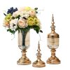 2 x Clear Glass Flower Vase with Lid and White Flower Filler Vase Set