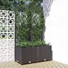 Garden Planter with Trellis PP